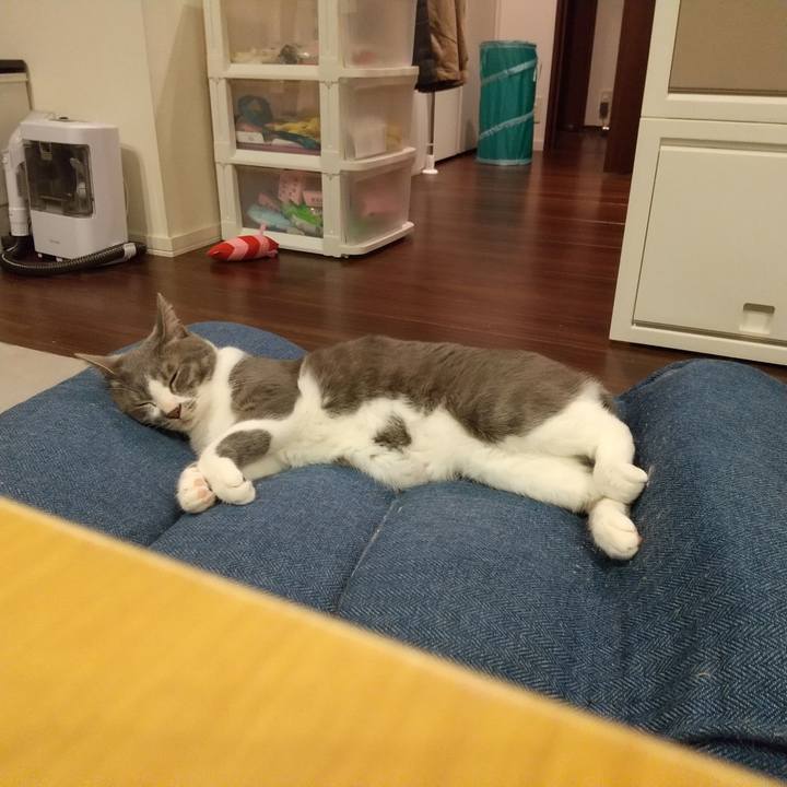 03ac45d0 14af 4fcf a985 9d8c331f22be 1620741673755