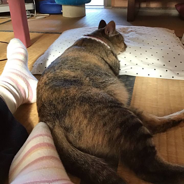 03ac7b30 73c3 4477 babb f095cbc163d9 1597444978269