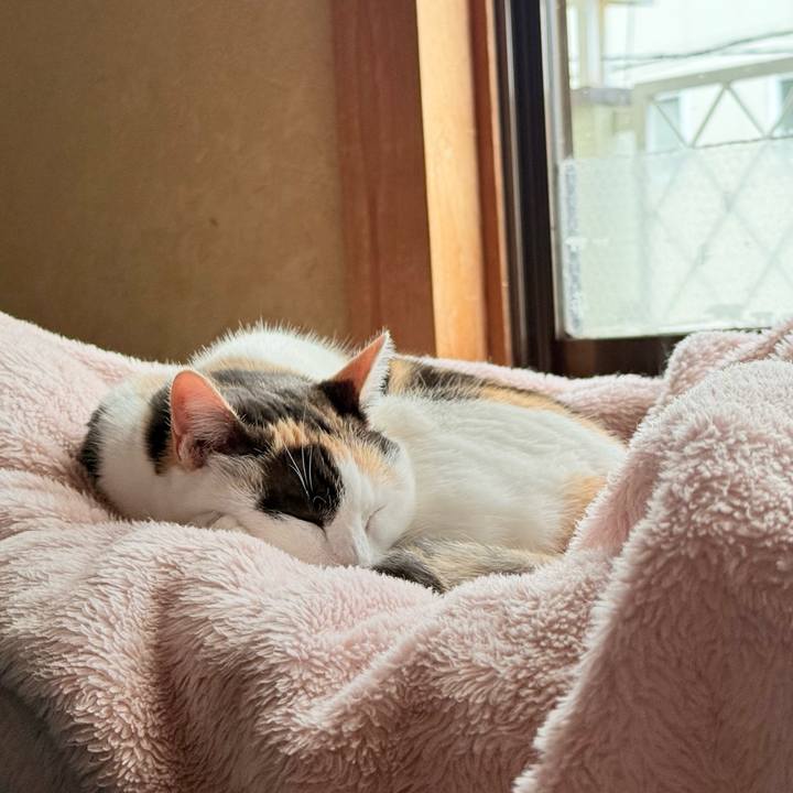 03ac9ce8 d918 449b abc3 e67b3e4ae555 1768958734325