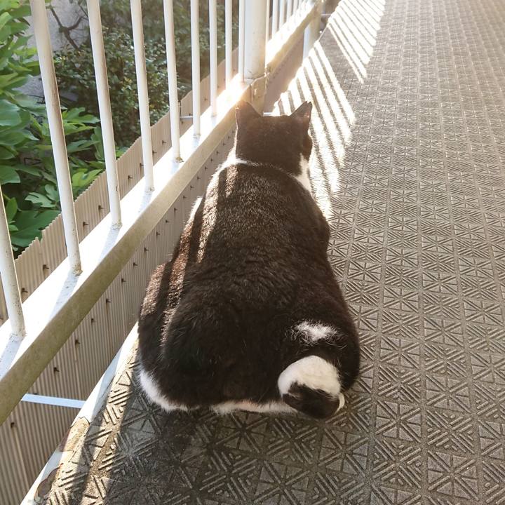 03acab97 f926 4b83 84b5 e524677b9822 1597961631576