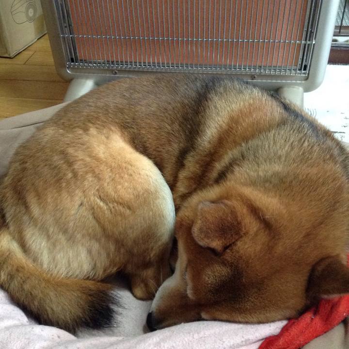 03ad3198 fc82 43b6 92d9 e6aab3ca662c 1516674647613