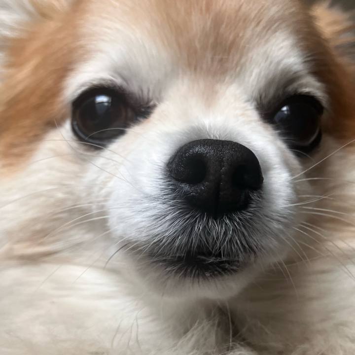 03ad32bb c9da 4dea acc5 2f4c6424f8a7 1770876895327