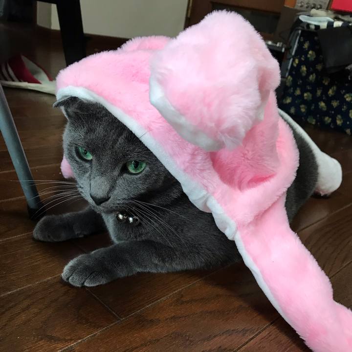 03ad6659 4d60 49ec 89cc 8e0ef0c214fc 1563322843199