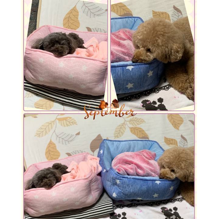 03ad68ef accf 4f74 b176 7b740952cc54 1567421449838