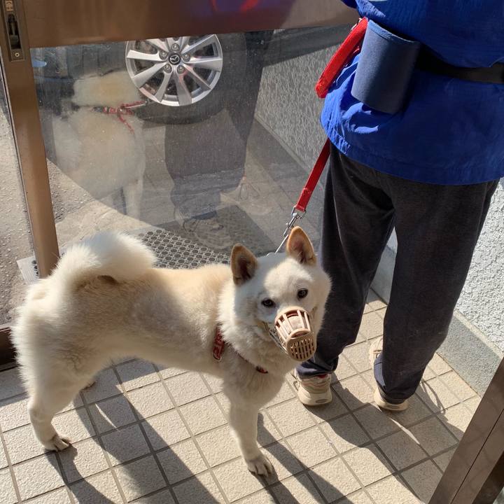 03ad8173 e29f 4e94 af1f 952e8375ef10 1560030918012