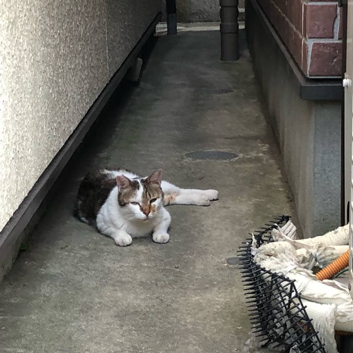 03ad834d 2045 44d8 a881 1207d1a3516e 1532086182837