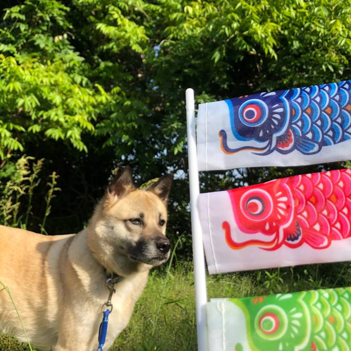 03adbcad bb73 4189 a189 2987d2621262 1620212925488