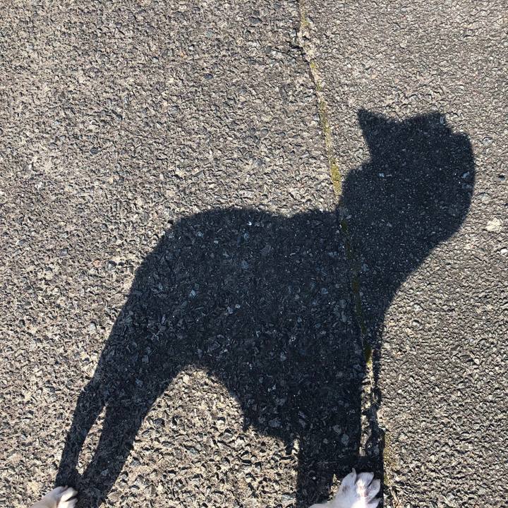 03addd25 1bef 40e4 86ea 3d1651cebaf4 1547092010319