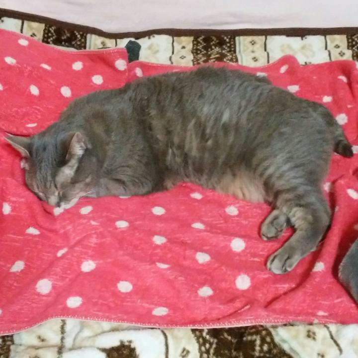 03ade651 570a 499f 8b2e 83371debcc13 1580562404613