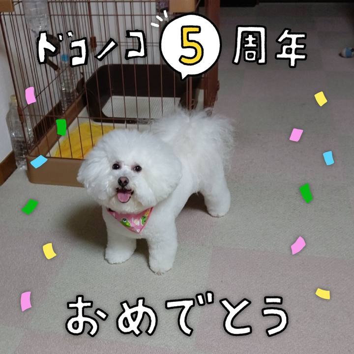 03adf3fa 5458 46a5 8d5a e8500d5d75f0 1622891354994