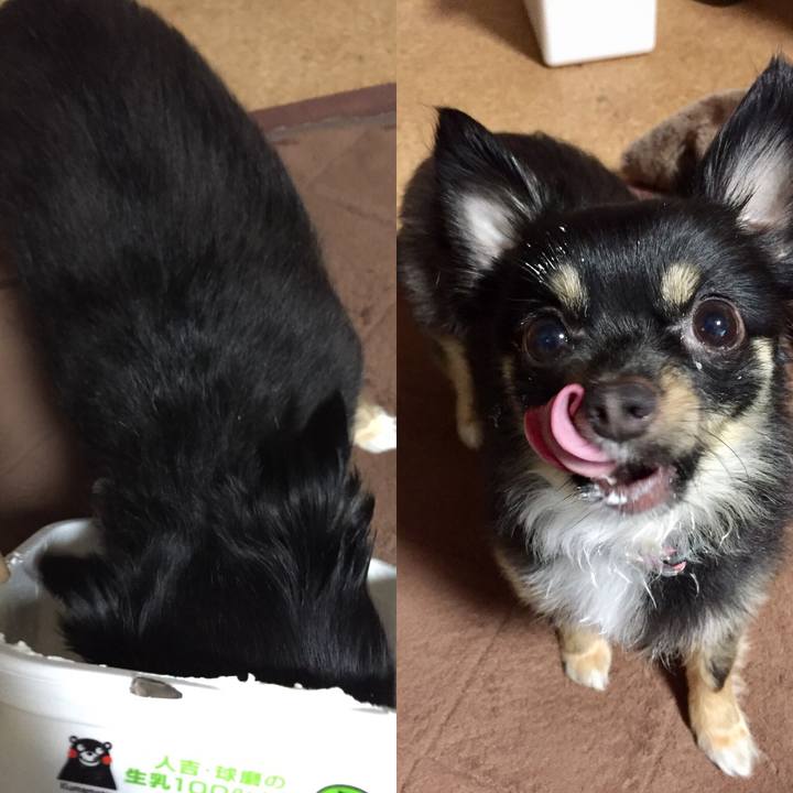 03ae00a2 0d30 4572 9c93 ba4e03d225a5 1527078257381