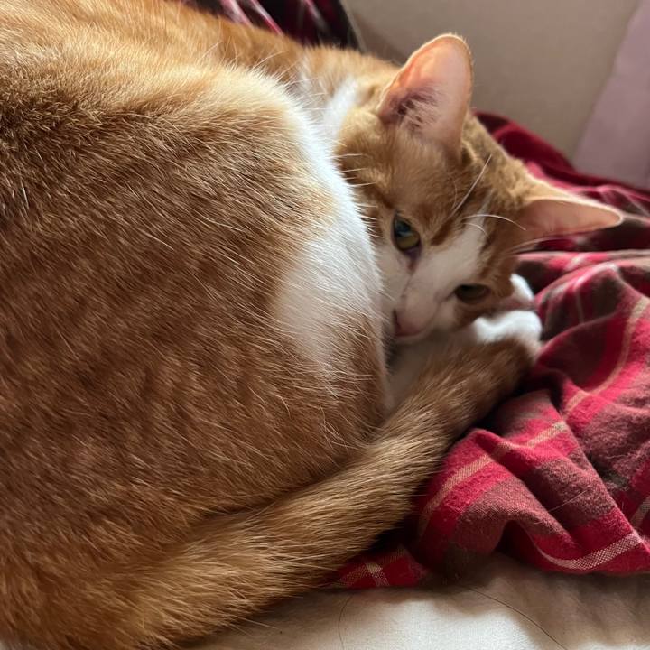 03ae46e6 9287 4641 9c51 7dbcf07a110d 1681799316571