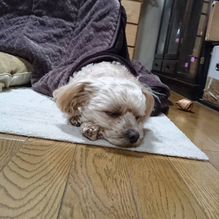 03ae4c33 2be9 4f11 85a5 753825352b97 1609591595443