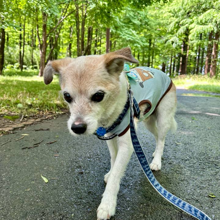 03ae5372 fb04 4cf6 b3a6 8bd3faf4af79 1749967811774