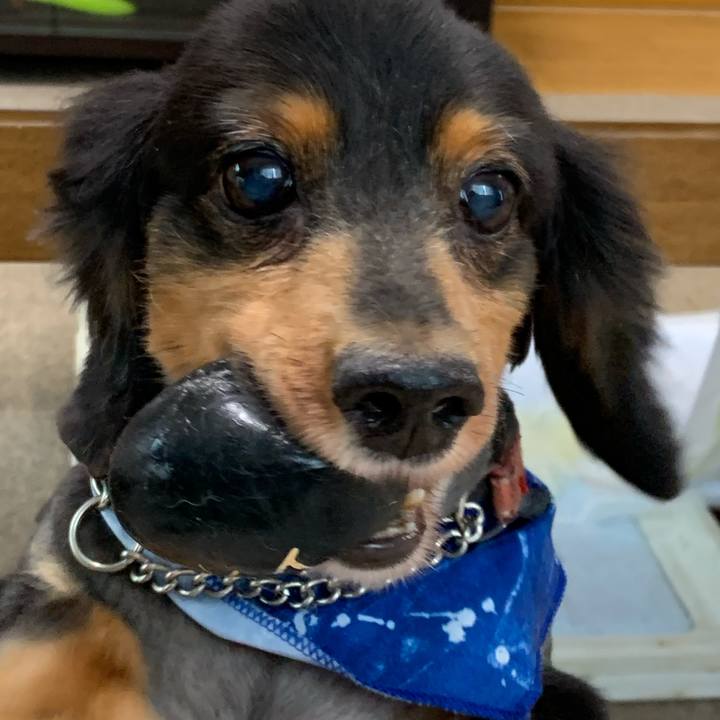 03ae55d0 da23 41a1 a9f9 a9217223d961 1600033527480