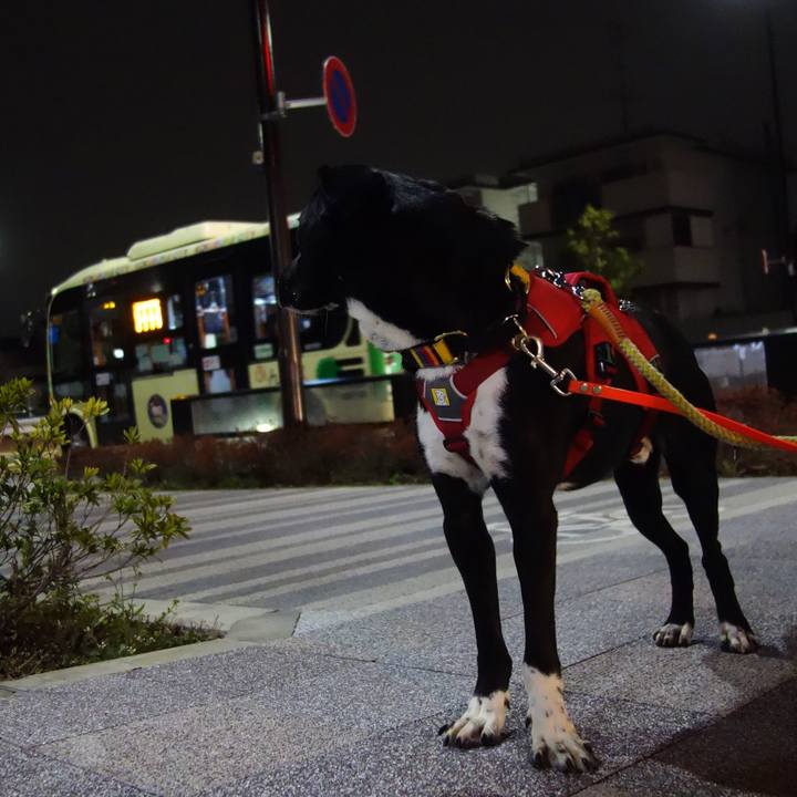 03ae7a45 acab 45fb 8910 cc75dbd12087 1583585444200