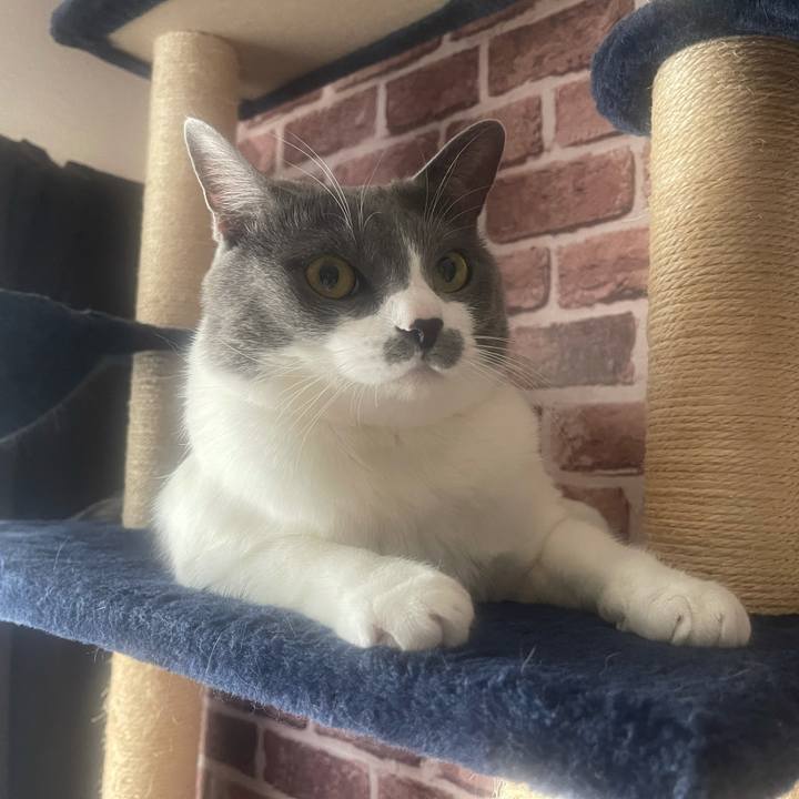 03ae827b 6680 4d50 8bda a991f3ca0bb8 1644794203214