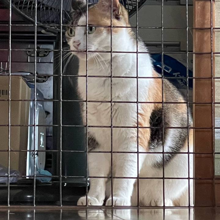 03ae8842 cdcd 4f09 a247 f3f62a926b2c 1720937249894