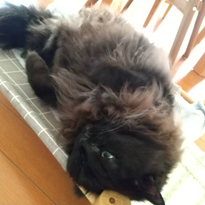 03ae8fef 7825 4a51 965d 69bcadb6e4d7 1701388507341