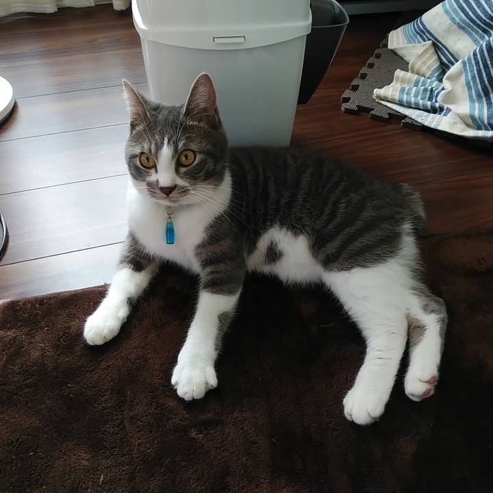 03aeb6f2 6b5e 4444 bd9e 2a4858692d7f 1579496586397