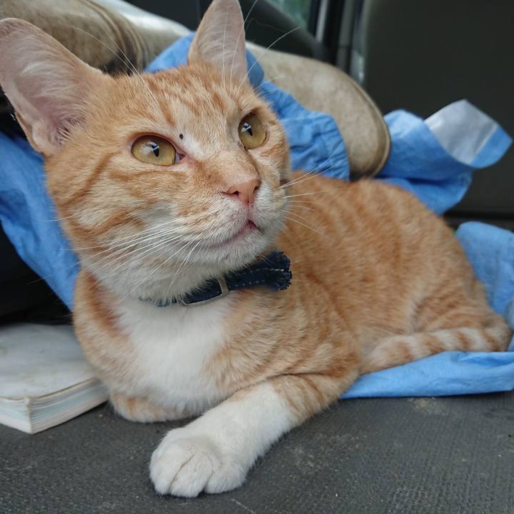 03aed51b 0f3e 438a b61f edfab9655766 1562878659089