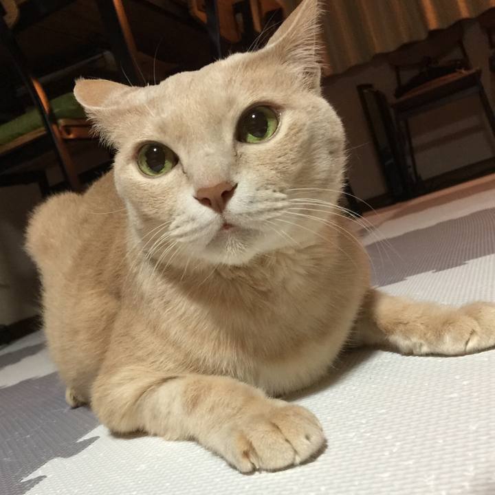 03aedcf6 f87a 4eef a7fc 42bdb7e1f1c2 1675254201118