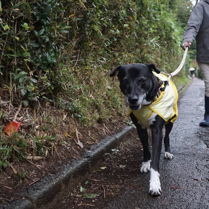 03aeeba6 07ca 42ff adea 6c8fcbd60bb4 1762646036524