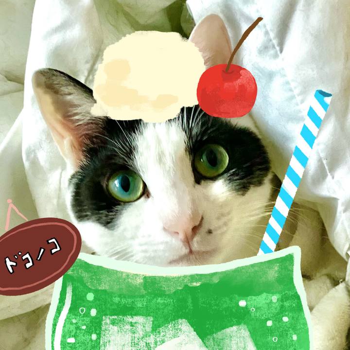 03af2a5c afaa 49fd b4df 095f474b578b 1755406657142