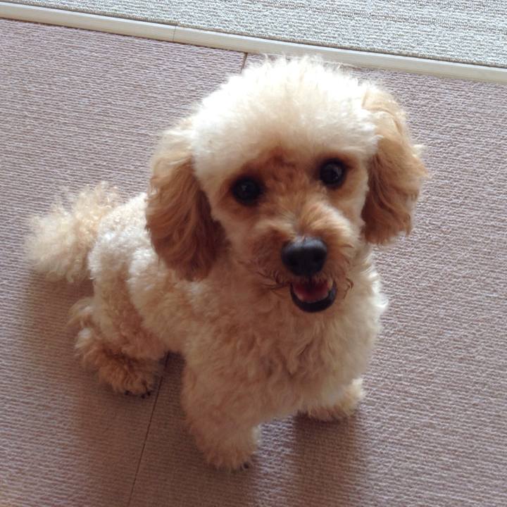 03af4a11 af46 4218 b29e e4b80f3d26b1 1537574366572