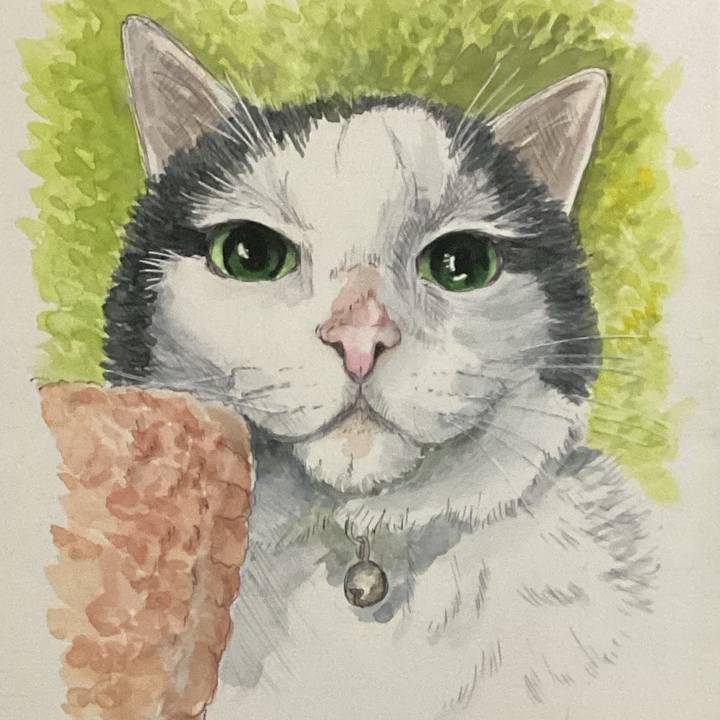 03af4a19 3b97 4698 a885 6b22ab6b9e6b 1693819557311