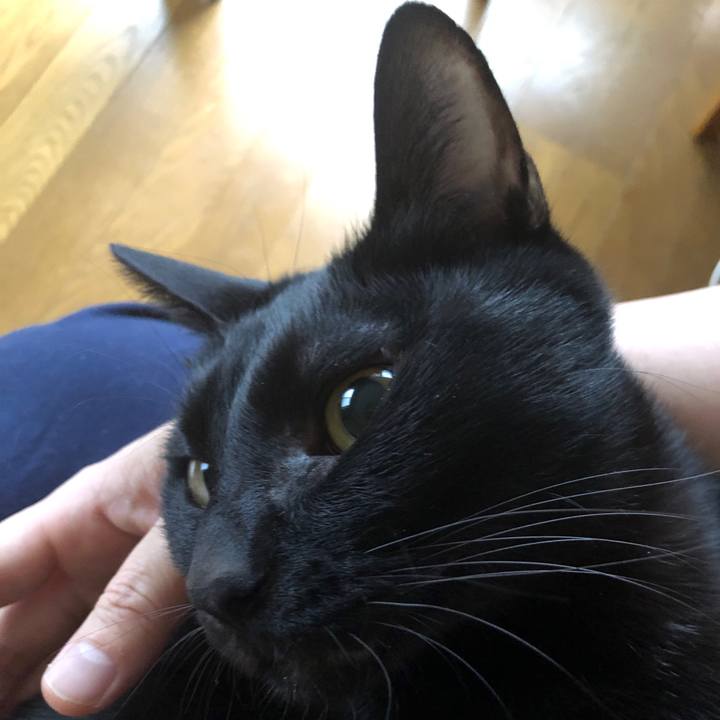 03af5242 1148 408f ad5f cff3a82ba3f1 1667599930868