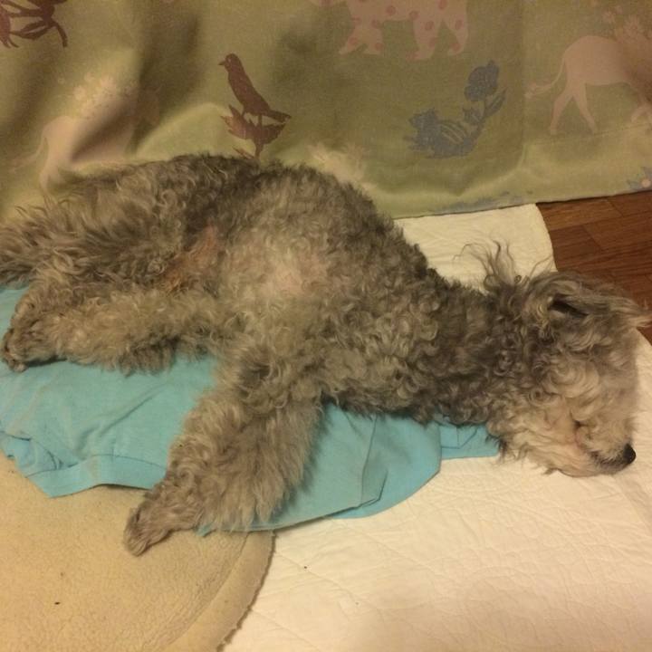 03af6584 e5d7 4fff ba42 51f236160b75 1740563996143