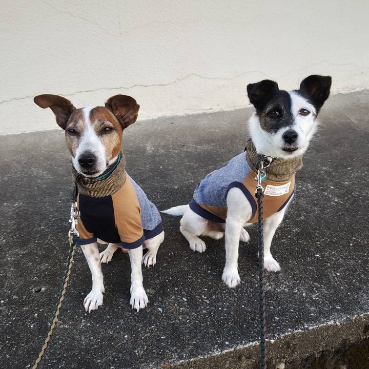 03af8c87 c6b8 469d bc7a f198f1ed370d 1757195021757