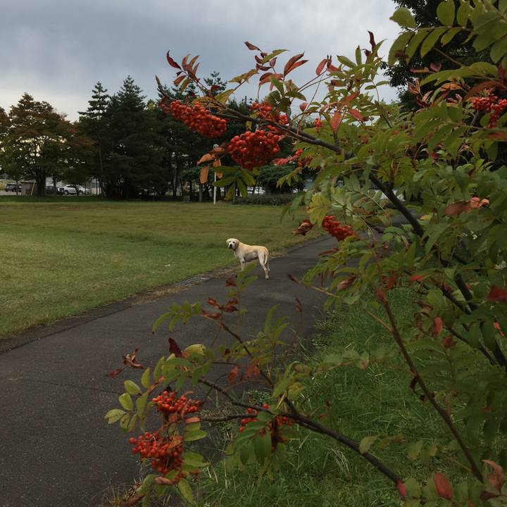 03afa4cd c0a8 4388 a0f3 8a90d1f0bb6a 1568434327119