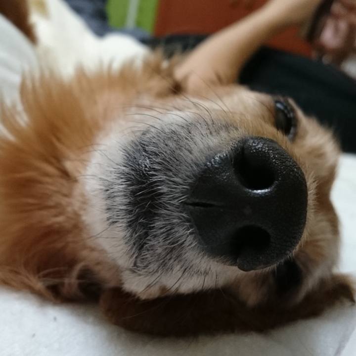 03aff268 10ff 497d beaa 955357829ce9 1617985609219