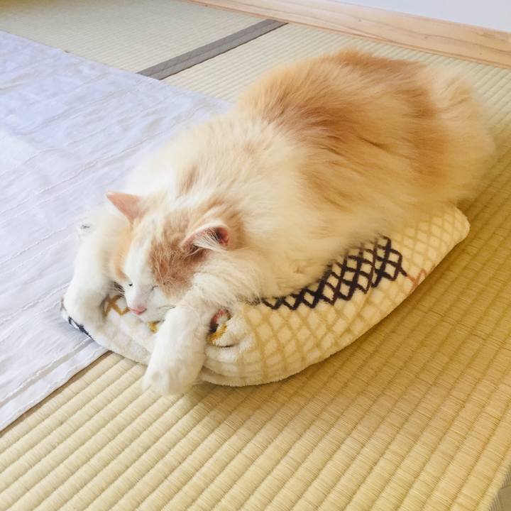 03b01c67 438a 4f42 950e 7ad5defcac0b 1589840489756