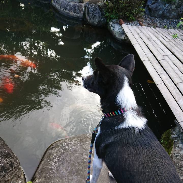 03b03209 46a5 417c b08b 543bd8781f82 1568848833186