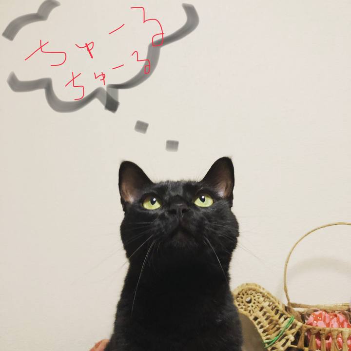 03b058da fa8d 4576 8aaf a604f4718412 1533033059699