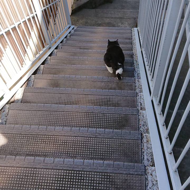 03b072f6 1021 447e b9d3 225335731497 1626583568971