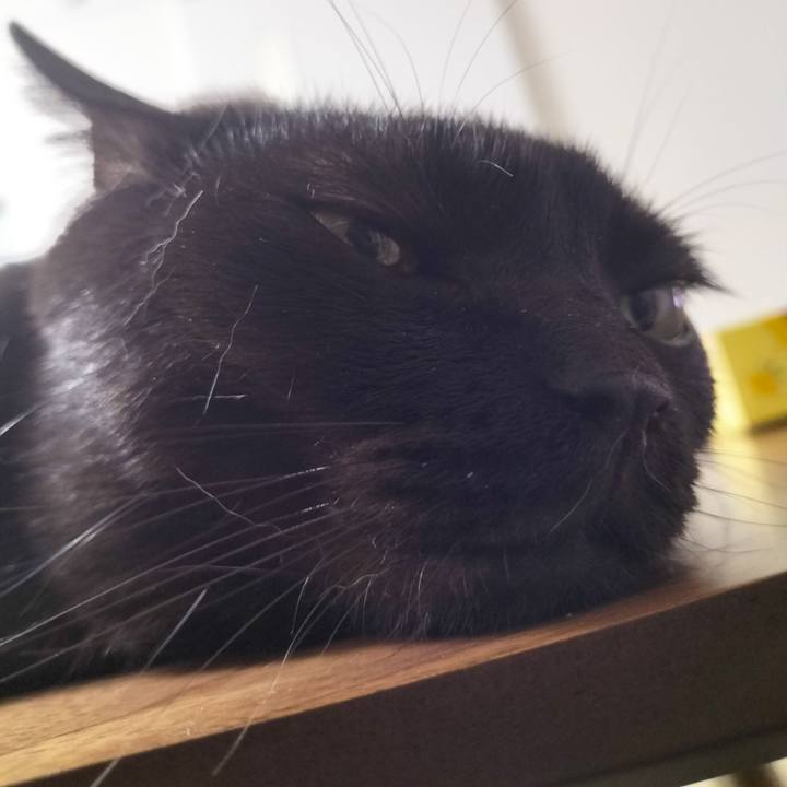 03b07cff 9231 4961 bb84 ffcd9d0f88e9 1686232142991