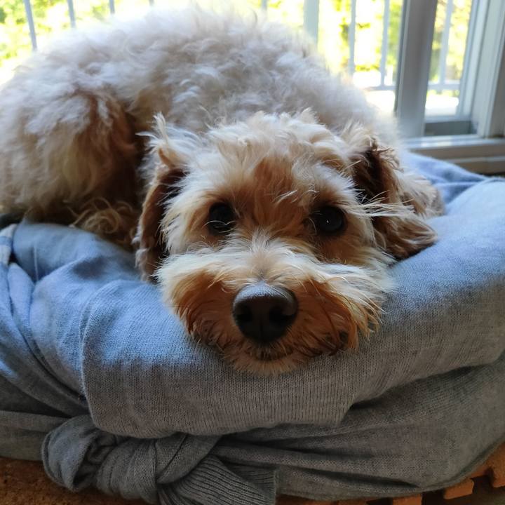 03b0a96f 07db 4cad a2a1 f256d12834a3 1599601830175