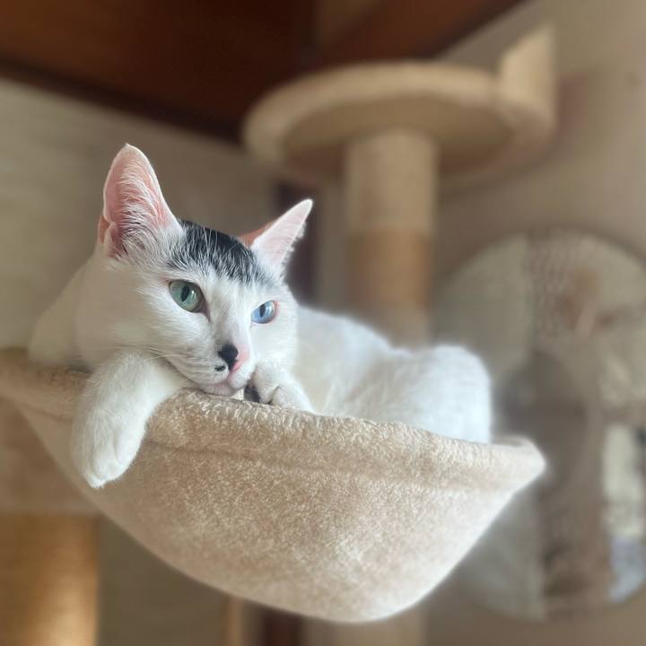 03b0af91 203d 465d 8fda 6b2f0a6c356d 1774310693831