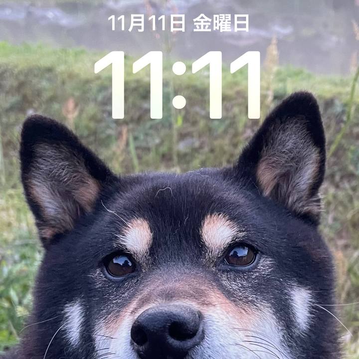 03b0becc 37f4 4159 8609 45f7a1260987 1668133980871