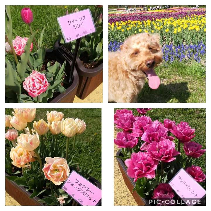 03b0ce6e eae7 4340 97c5 589c8c34a00c 1558445919200