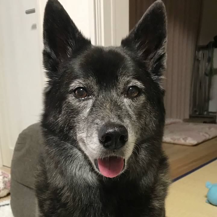 03b170d4 5b54 484d b8ed bada6fa8b15b 1686712399608