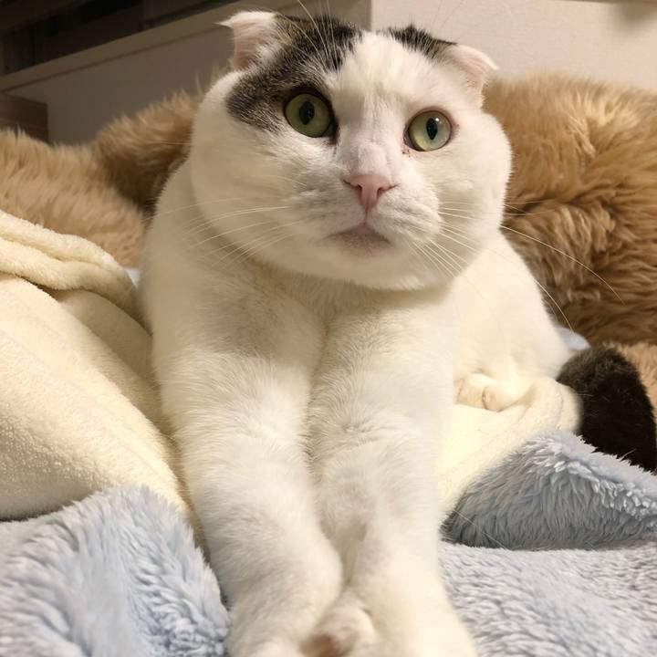 03b1c904 e276 43f2 960e 39d94a4a4b5a 1578516191855