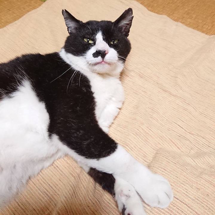 03b1d2cd 0c86 456a 8f81 d3a0728bdb24 1592471573640