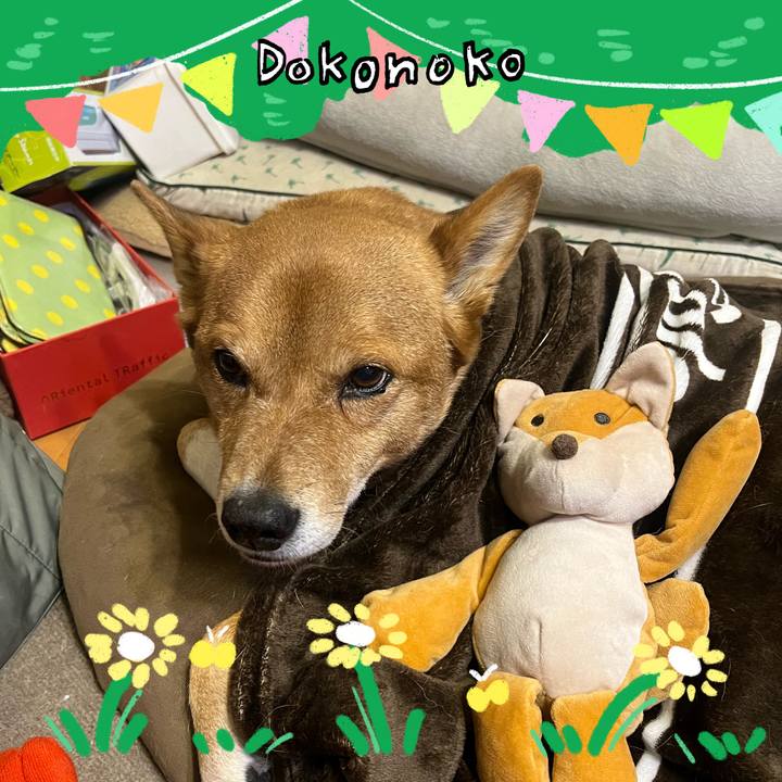 03b1d4ae 0a9a 401c bd8b 6a2c33604353 1711103269174