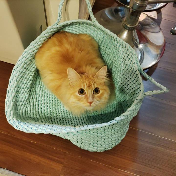 03b1f13a f6f6 4aee 89fd 262d6eada610 1686058168389