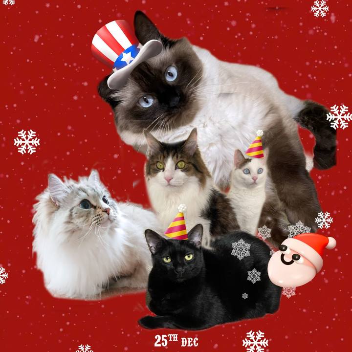 03b1faa3 afb7 49aa 8209 3846c8d5e073 1671803592697